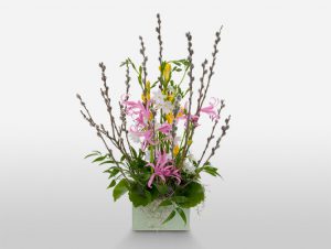 Spring Flowers for Your Home