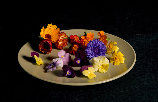 Edible Flowers