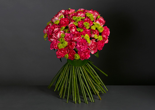 Carnations for the Centaur