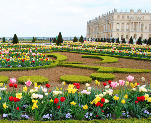 Flower Gardens of Versailles 