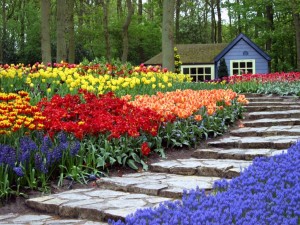 25 Aug - 2 inside-keukenhof