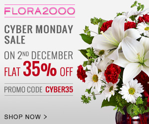 Cyber-Monday_-300x250_INTL