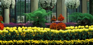 Longwood Gardens