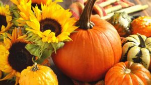 Get the Most Creative Halloween Flower Arrangement Ideas from Flora2000