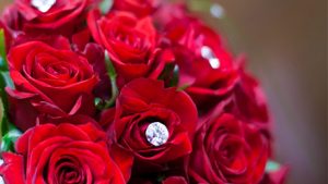 Ensure Fresh Valentine’s Day Flower Delivery To The USA With The Right Online Gifting Portal