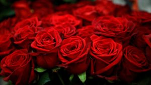 Express your love, send Valentine’s Day flowers to USA