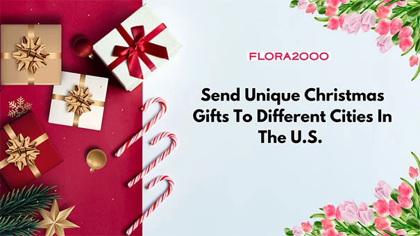 Send Unique Christmas Gifts To Different Cities In The USA