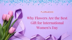 Why Flowers Are the Best Gift For International Women’s Day