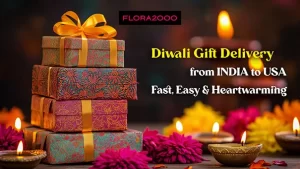 Send Unique Diwali Gifts To USA From India – Flora2000